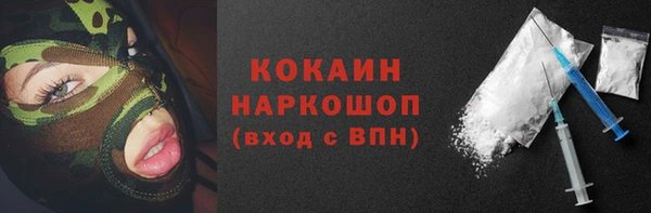шишки Аркадак