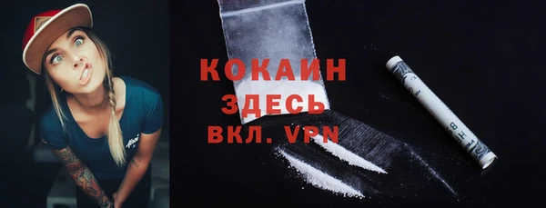 тгк Няндома