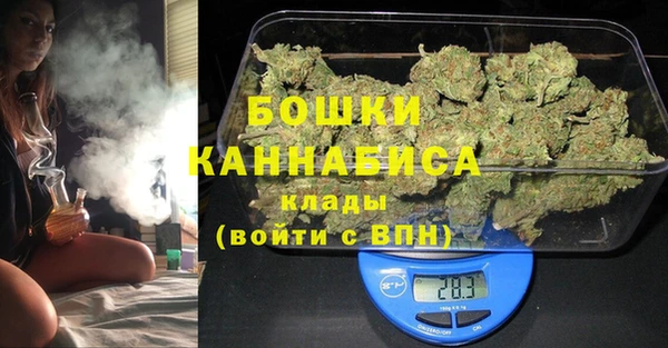 шишки Аркадак