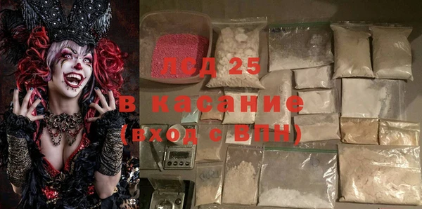 шишки Аркадак