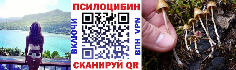 Галлюциногенные грибы ЛСД Артёмовский